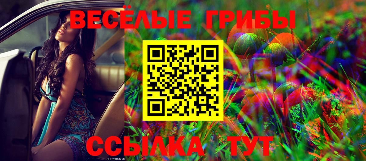 Псилоцибиновые грибы Magic Shrooms Кунгур